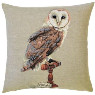 Forest Owl